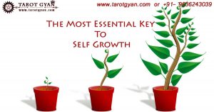 self growth tips by best astrologer in delhi